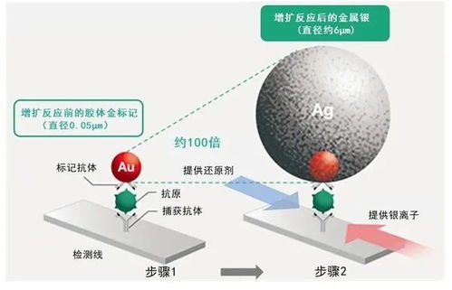 富士膠片開(kāi)發(fā)高靈敏新冠檢測(cè)試劑盒 銀擴(kuò)增技術(shù)的技術(shù)創(chuàng)新與水源領(lǐng)域的交叉應(yīng)用